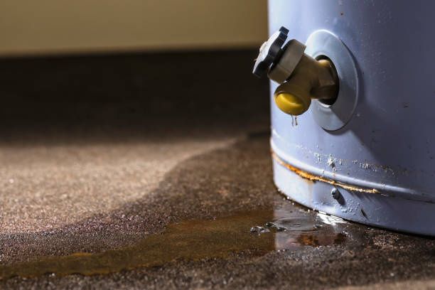 Best Mold removal after water damage  in Lanse, MI
