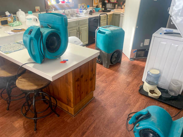 Best Emergency water damage restoration  in Lanse, MI