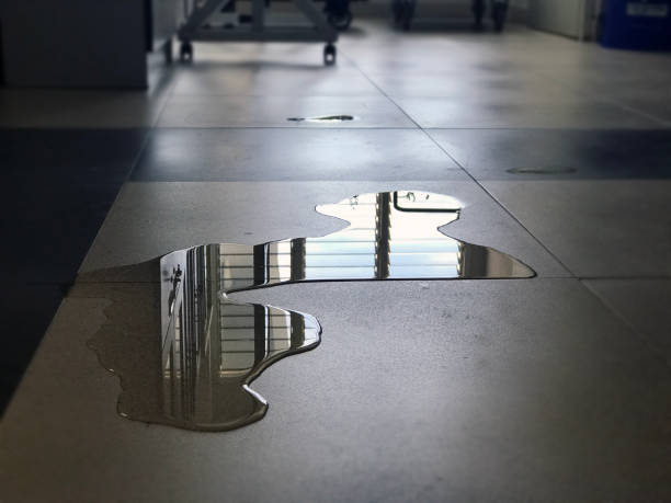 Best Local water damage restoration  in Lanse, MI