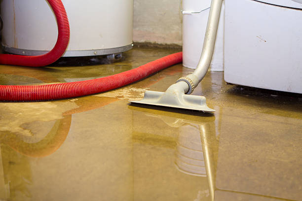 Best Water damage restoration near me  in Lanse, MI