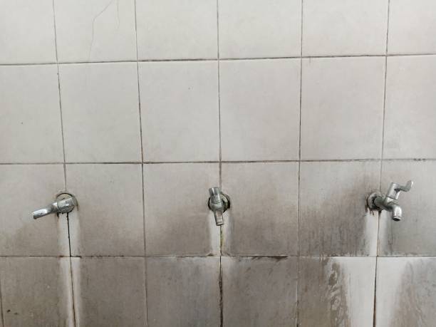 Reliable Lanse, MI Water damage restoration Solutions
