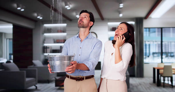 Best Carpet water damage restoration  in Lanse, MI